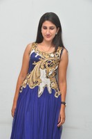 Manisha Gallery